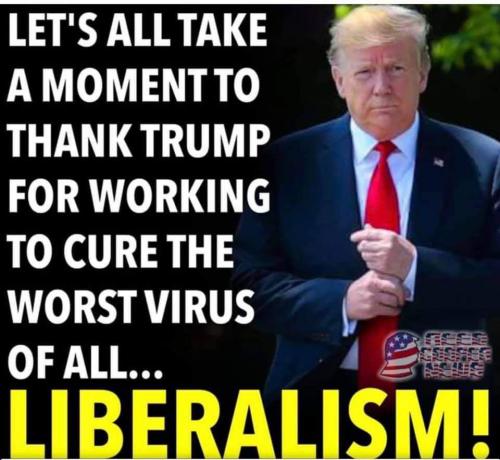 FB_IMG_1602353704173