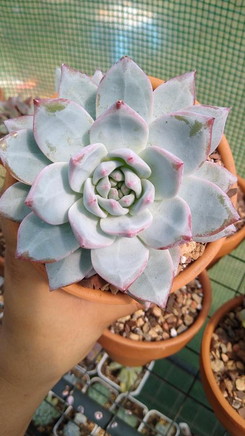 IMG_20201001_113203606