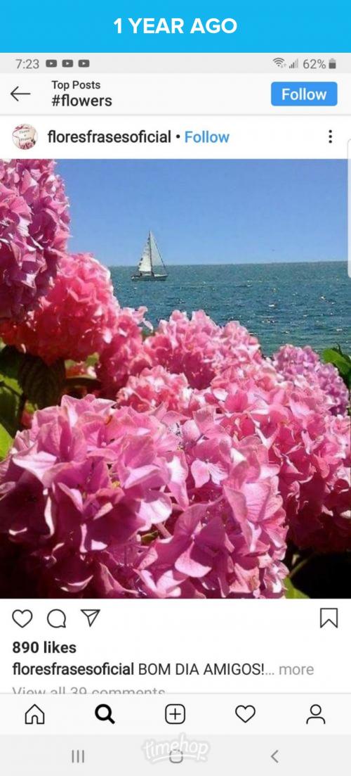 export3216686183169819628