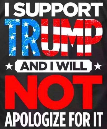 118808730_348709059872029_5619514732470785280_n