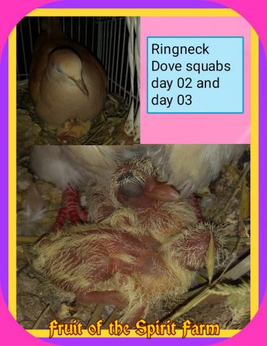 07:11:34 GMT-0500 (CDT)