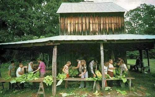 10:00:48 GMT-0400 (EDT)