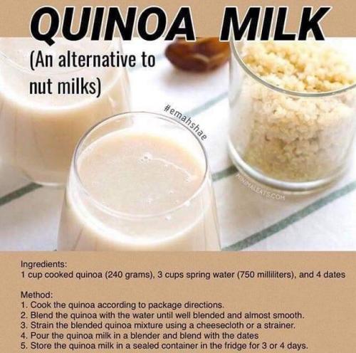 FB_IMG_1555680195533