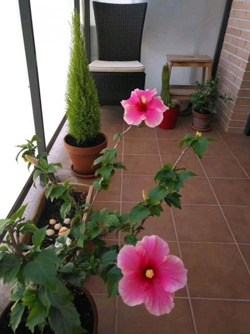 04:03:55 GMT+0100 (WAT)