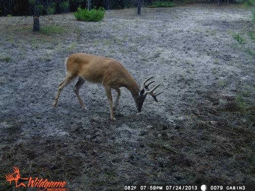 21405_10201794155634187_1683241403_n_10201794155634187