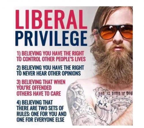 Liberal Privilege