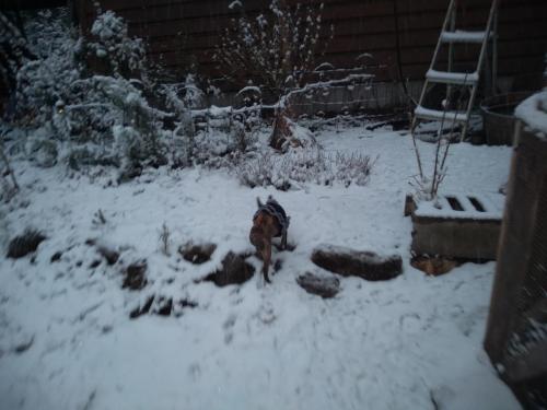 17:53:33 GMT-0500 (CDT)