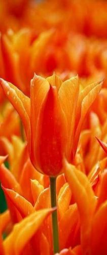 05:56:55 GMT-0500 (CDT)