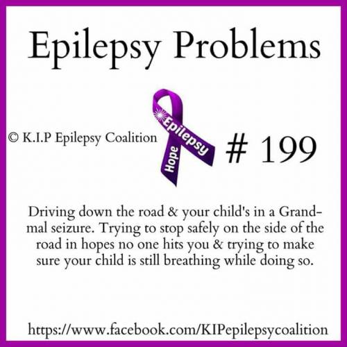 32639683_10204471058532430_6532816841159475200_n_10204471058492429