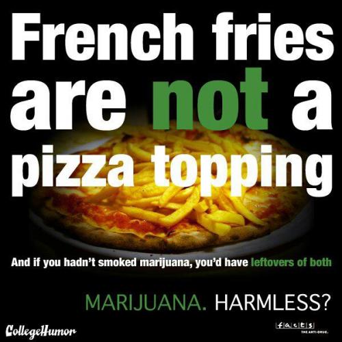 262158_2866870086794_548814411_n_2866870086794