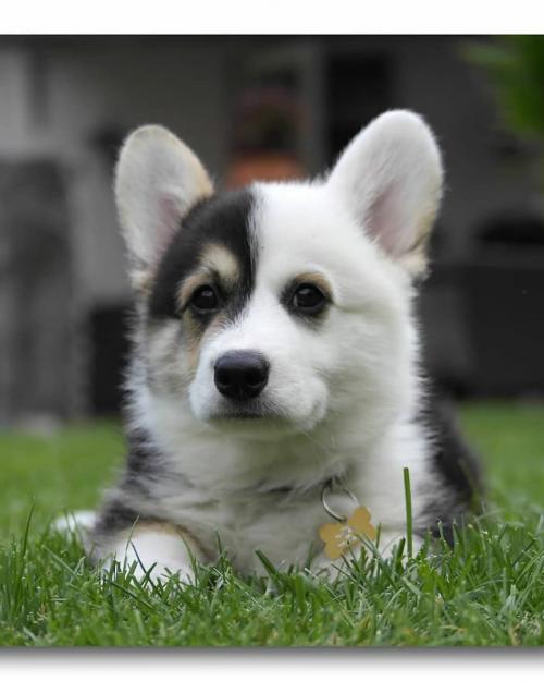 09:26:07 GMT+0100 (WAT)