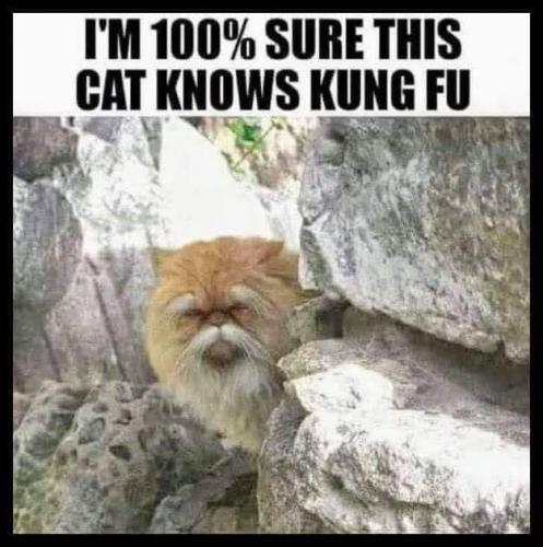 08:43:19 GMT-0400 (EDT)