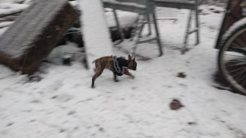 17:53:33 GMT-0500 (CDT)