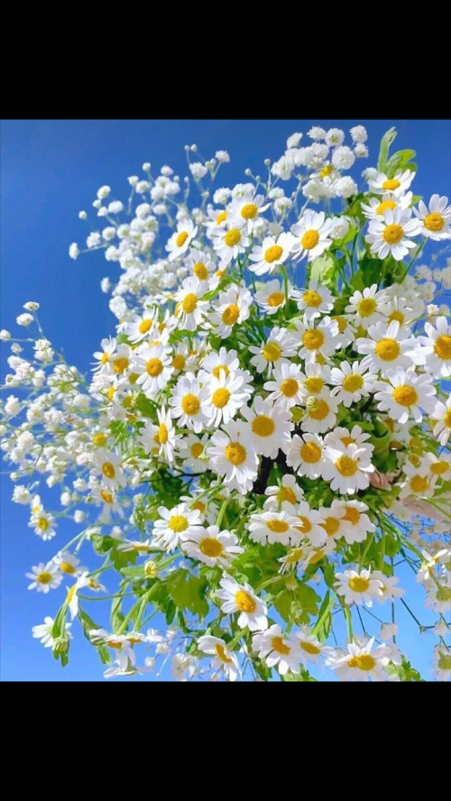 15:19:29 GMT+0100 (WAT).png