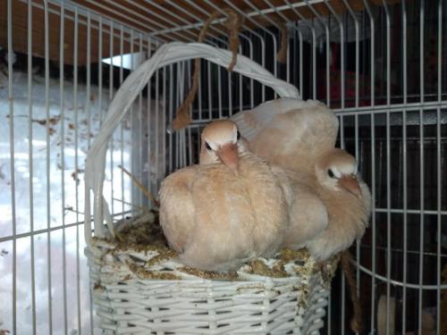 18:19:27 GMT-0500 (CDT)