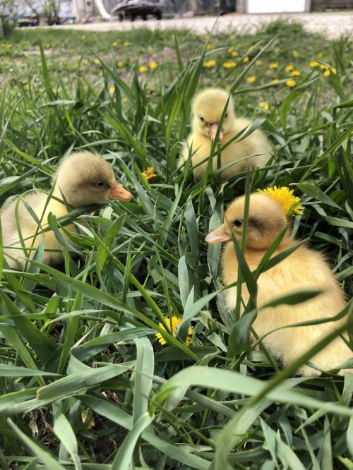 F3E7F2BB-4499-43EF-8A36-7E2AD14CE52D