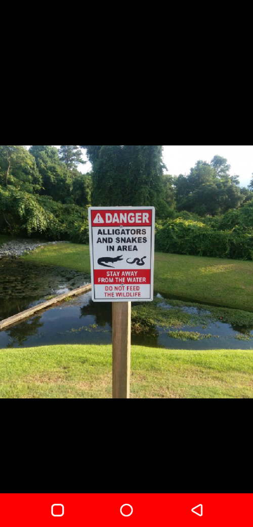 10:49:23 GMT+0100 (WAT).png