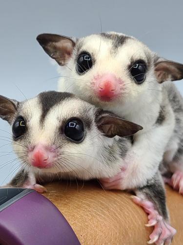 16:48:30 GMT-0500 (CDT)