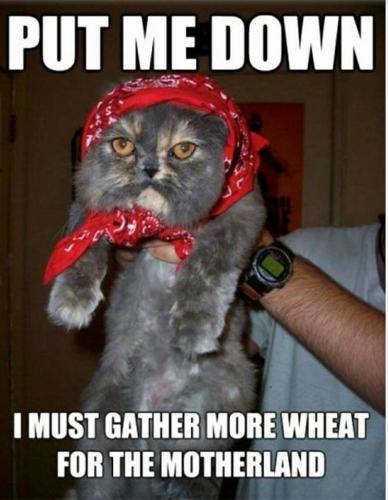 14067441_10201950364516655_6662084705315044514_n_10201950364516655