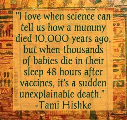 Meme I luv how science can tell us how ancient mummies dies yet are stymied when thousands of babies die in their sleep 48 hours after getting vaccinated.