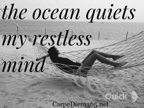 15171073_1371951466178787_4920076379048869301_n