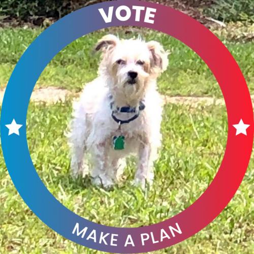 121266357_2641273632869642_7319571222035249206_o