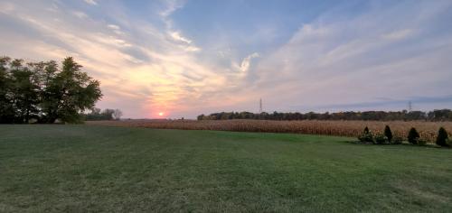 19:14:12 GMT-0400 (EDT)