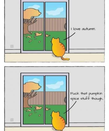 06:53:09 GMT-0400 (EDT)