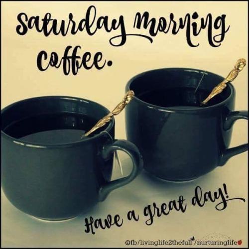 13445315_10201727503905279_1810332134157884806_n_10201727503905279