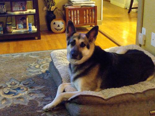 14:40:12 GMT-0500 (CDT)