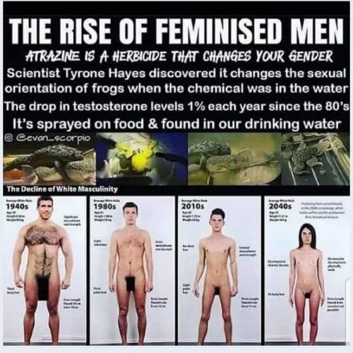 118208273_2873927502876203_4419438211396168328_n