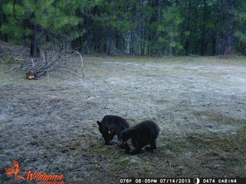 1098439_10201668870702142_1005297417_n_10201668870702142