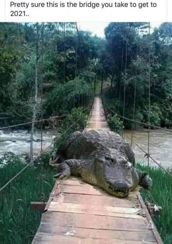 3d340d567cdec99a7e4cd7bccbea6a36_1024