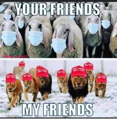 Your friend My friends