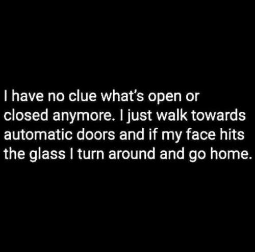 121997812_451092809191452_5993190563257419656_n