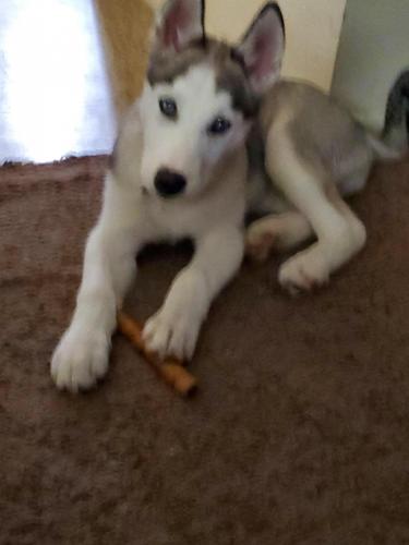 13:09:24 GMT-0400 (EDT)