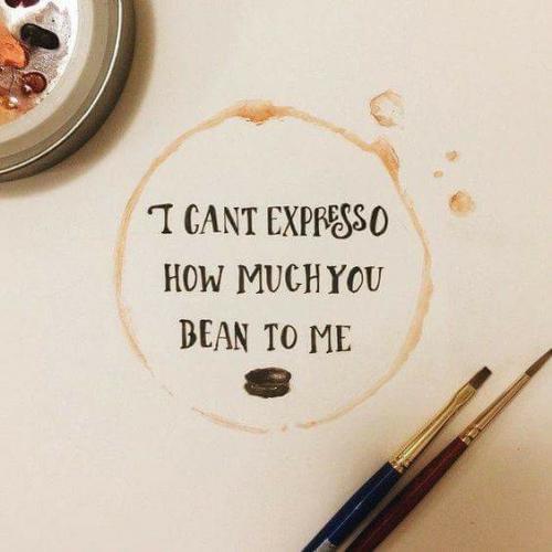 18118688_10202975444903024_5302389409663897927_n_10202975444903024