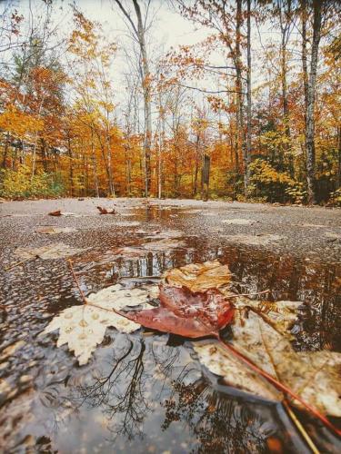 18:05:18 GMT-0400 (EDT)