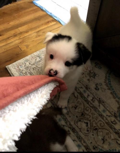 9A719565-41A4-447D-AF83-EAE99485EBDB