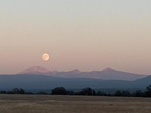 MVIMG_20201029_180302