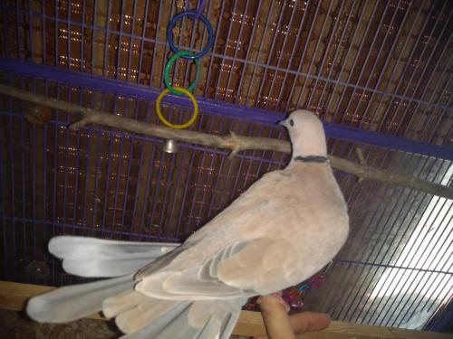 07:26:28 GMT-0500 (CDT)