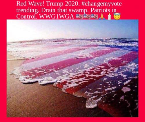 123136909_363378558236899_5529846263875594119_n