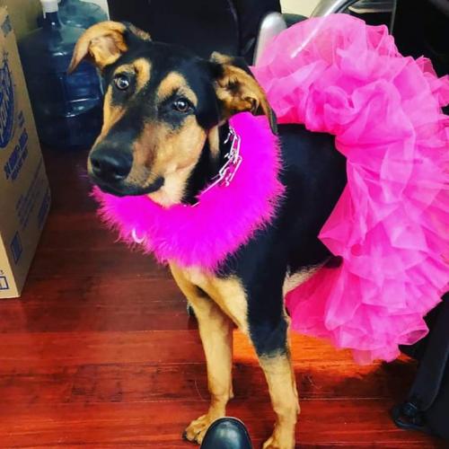 03:59:52 GMT+0100 (WAT)