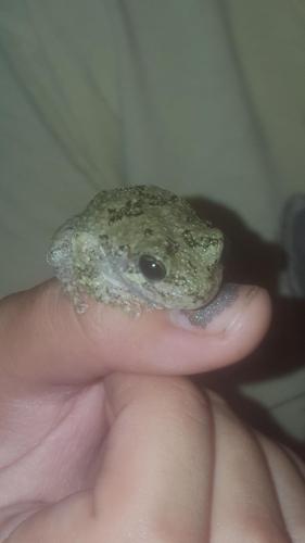 08:55:59 GMT-0400 (EDT)