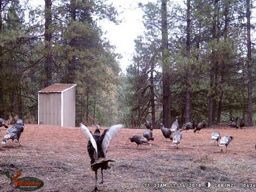 47044374_10217827189770020_6449165266373836800_o_10217827189690018