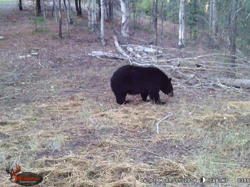 47065006_10217827187769970_4994148329240657920_o_10217827187729969