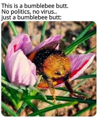 23:13:50 GMT-0500 (CDT)