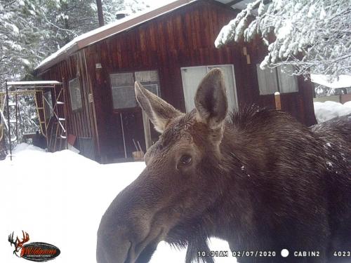 88347117_10221779984067407_7032420549565349888_o_10221779984027406