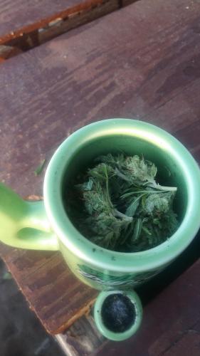 20:46:12 GMT-0700 (PDT)