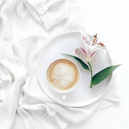 15202492_10202362750466046_6356056316540445841_n_10202362750466046